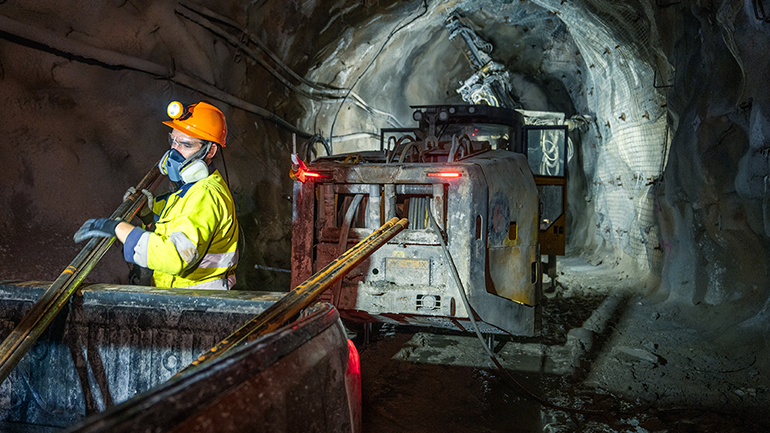 Από το καναρίνι στο data mining